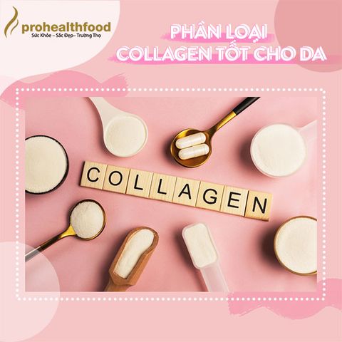 Phân loại collagen tốt cho da.