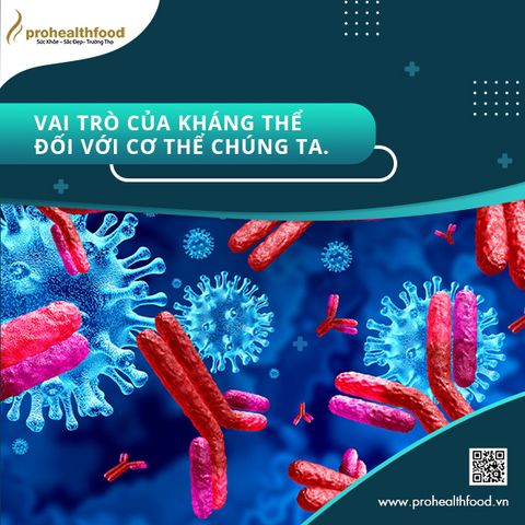 Vai trò của kháng thể đối với cơ thể chúng ta.