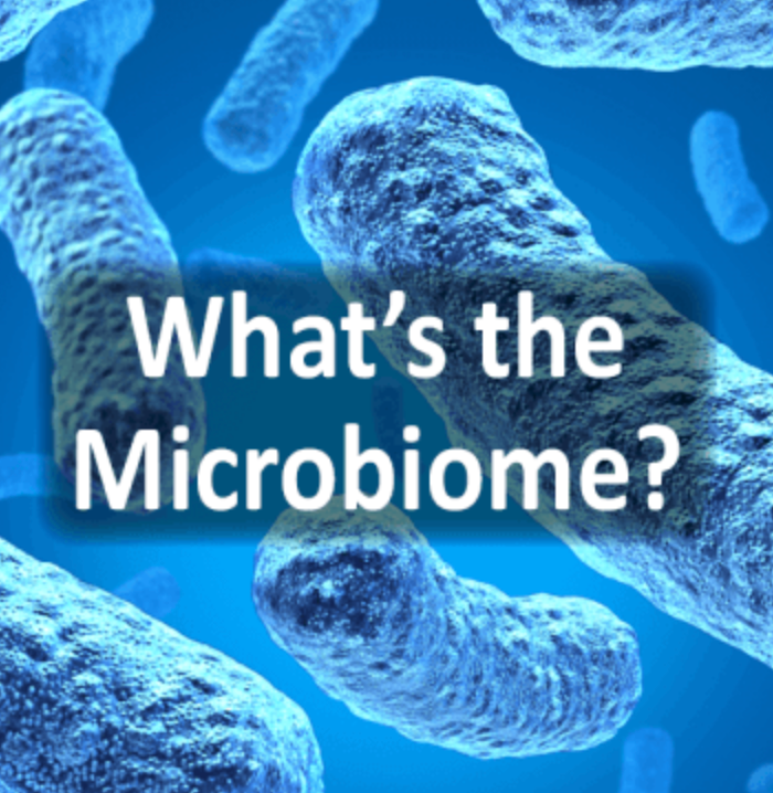 Công nghệ vi sinh Microbiome trong chăm sóc da – Bước ngoặc mới của ngành mỹ phẩm
