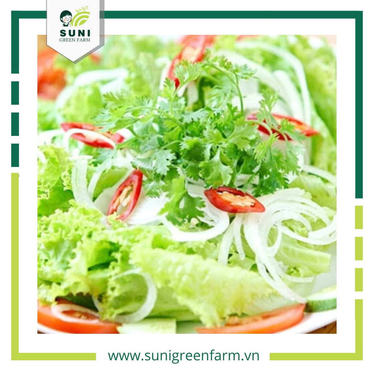 Hướng dẫn cách làm salad từ rau xà lách tươi ngon và bổ dưỡng