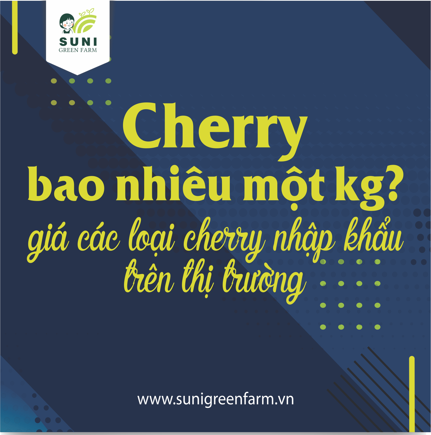 CHERRY BAO NHIÊU 1KG? GIÁ CÁC LOẠI CHERRY NHẬP KHẨU TRÊN THỊ TRƯỜNG
