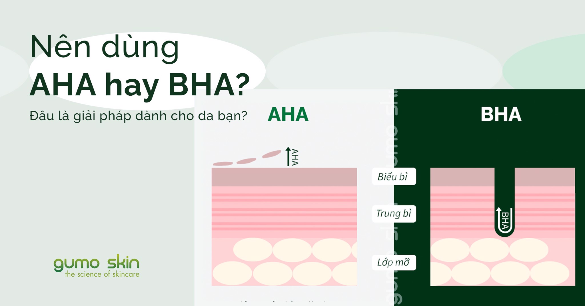 Nên dùng AHA hay BHA - Đâu là giải pháp dành cho da bạn?