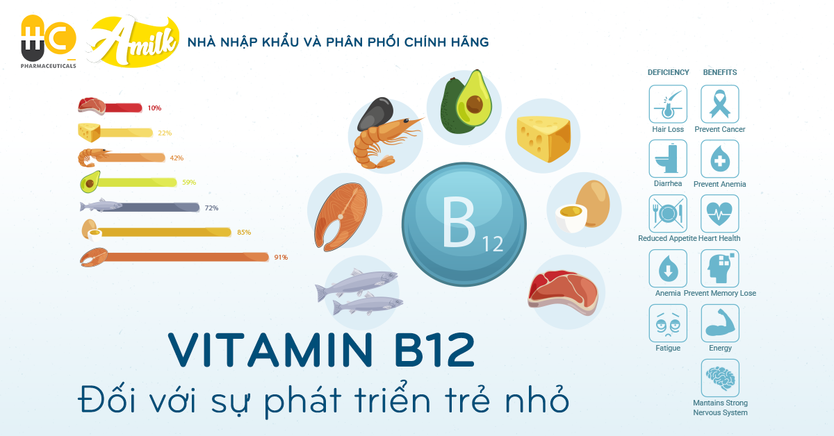 Cách Bổ Sung Vitamin B12 Trong Chế Độ Ăn Hàng Ngày Cho Trẻ HC