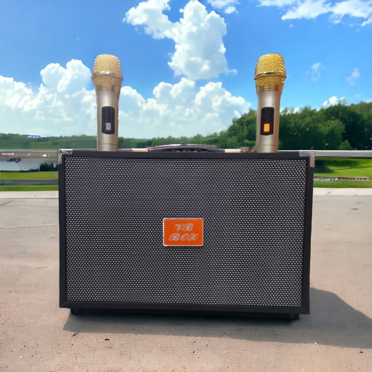 VB 668 2025 Loa Karaoke Xách Tay Kèm 2 Micro