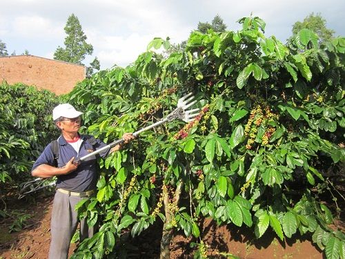 danh sách một số máy thu hoạch nông sản đã và đang được đưa vào ứng dụng thực tế đời sống