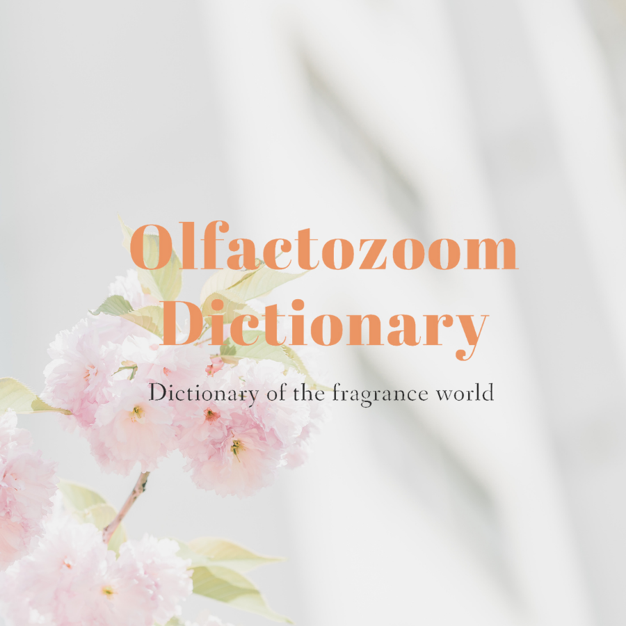 Từ vựng chuyên ngành mùi hương - Fragrance Dictionary - ENG Version