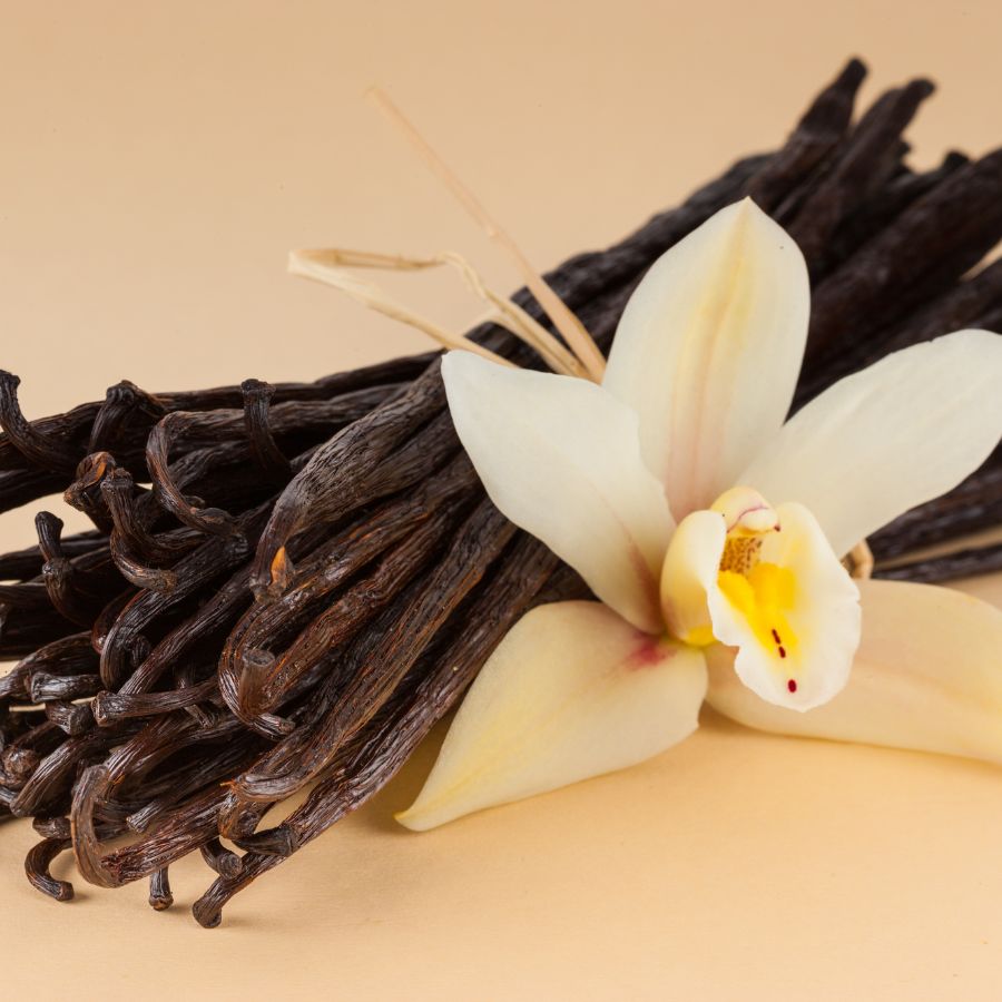 Vị trí của Vanilla Madagascar trong ngành hương (Flavors & Fragrances industry)