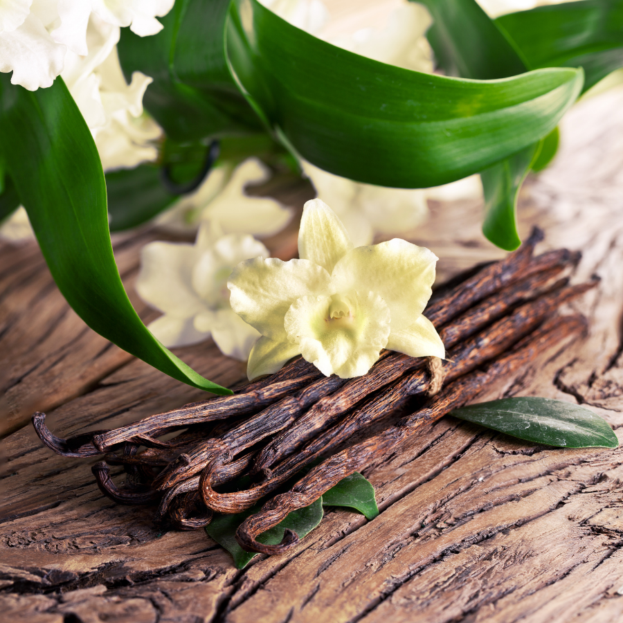 Perfumer Julie Massé: “Vanilla tạo ra một sức hút, một dấu ấn và khả năng lan tỏa không gì sánh bằng”