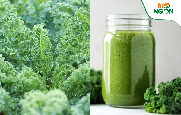 rau quả detox giải độc cải kale