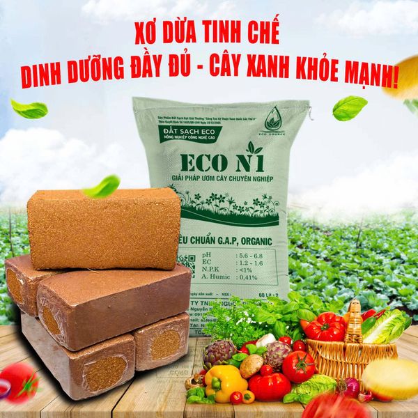 Viên Nén Xơ Dừa Cao Cấp Đã Xử Lý – Đất Sạch Hữu Cơ Giàu Dinh Dưỡng Cho Cây Trồng
