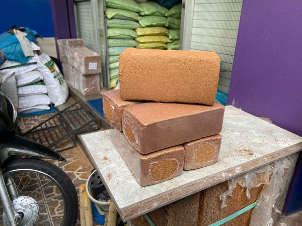 Viên Nén Xơ Dừa Cao Cấp Đã Xử Lý – Đất Sạch Hữu Cơ Giàu Dinh Dưỡng Cho Cây Trồng