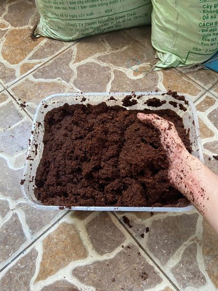Viên Nén Xơ Dừa Cao Cấp Đã Xử Lý – Đất Sạch Hữu Cơ Giàu Dinh Dưỡng Cho Cây Trồng