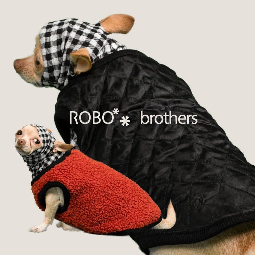 ROBO BROTHERS has just arrived