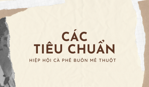 Tiêu Chuẩn Việt Nam về Cà phê rang và Cà phê bột