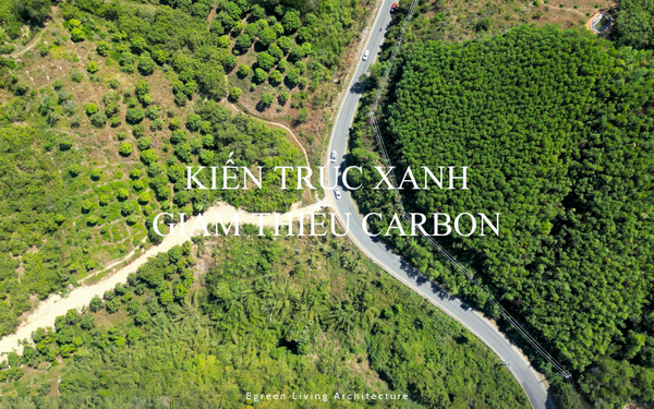 Tín Chỉ Carbon và Sự Liên Kết với Cây Tre trong Thế Giới Bền Vững