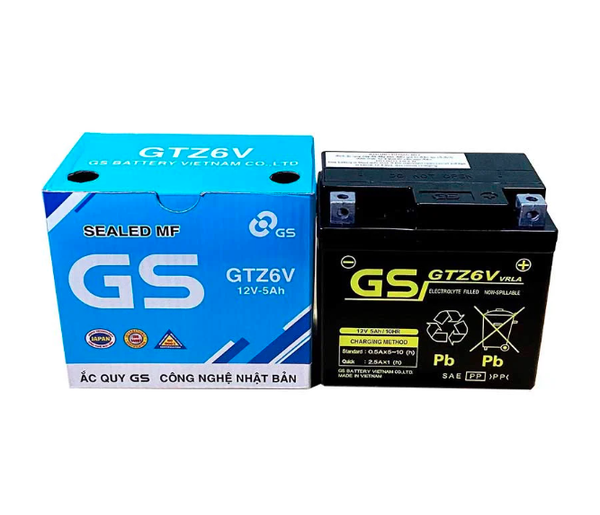 bình ắc quy GS GTZ6V (12V-5AH)