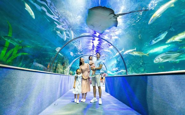 Địa điểm vui chơi ở quận Hai Bà Trưng - Thủy cung Vinpearl Aquarium Times City