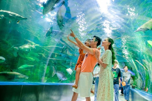 1 6 đi đâu chơi ở hà nội