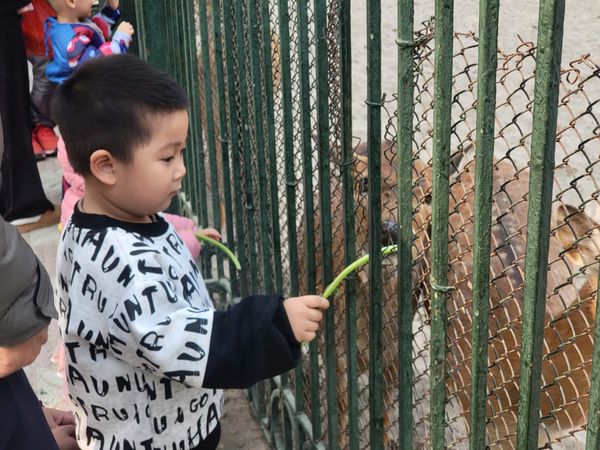 1 6 đi đâu chơi ở hà nội