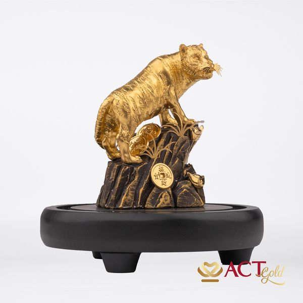 Hình ảnh sản phẩm Hình ảnh sản phẩm