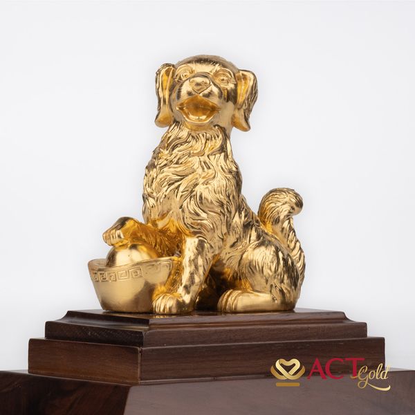 Hình ảnh sản phẩm Hình ảnh sản phẩm