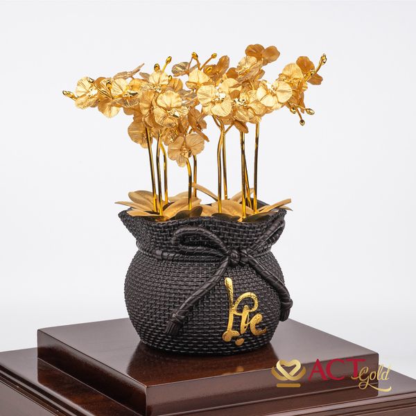 Hình ảnh sản phẩm Hình ảnh sản phẩm