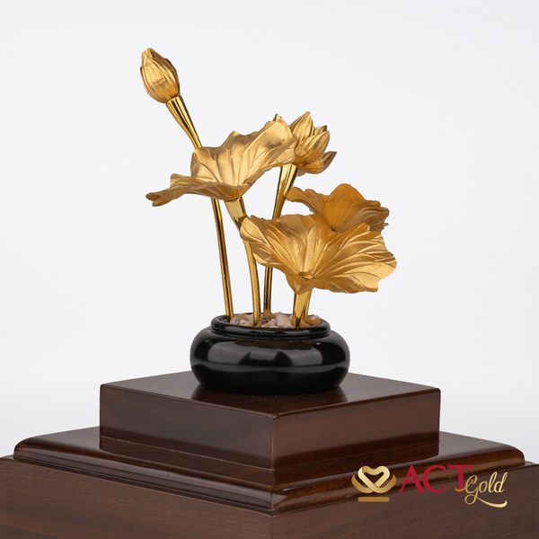 Hình ảnh sản phẩm Hình ảnh sản phẩm