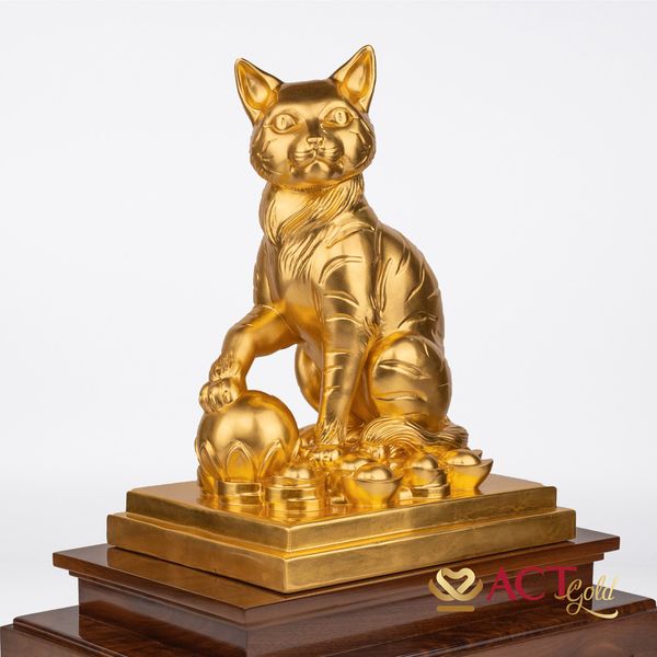 Hình ảnh sản phẩm Hình ảnh sản phẩm