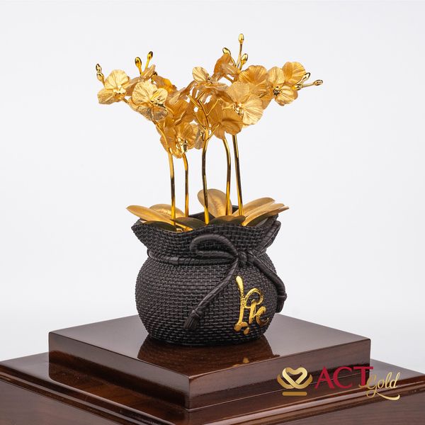 Hình ảnh sản phẩm Hình ảnh sản phẩm