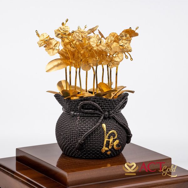 Hình ảnh sản phẩm Hình ảnh sản phẩm