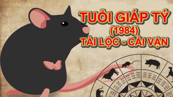 Cách Chọn Hướng Nhà Tuổi Giáp Tý Hợp Phong Thuỷ