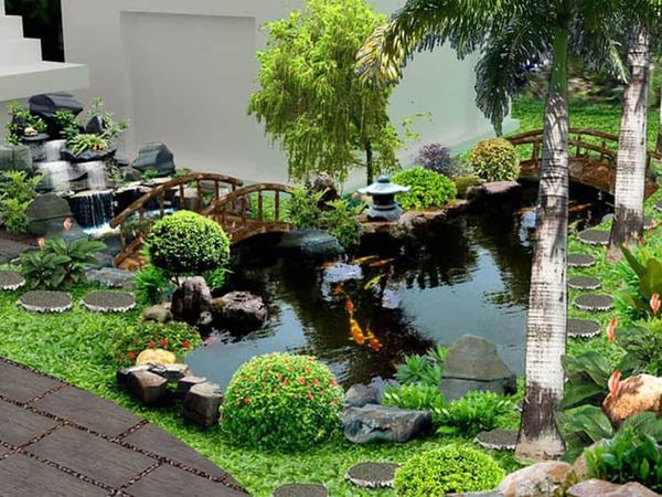 Thiết kế sân vườn với hồ cá