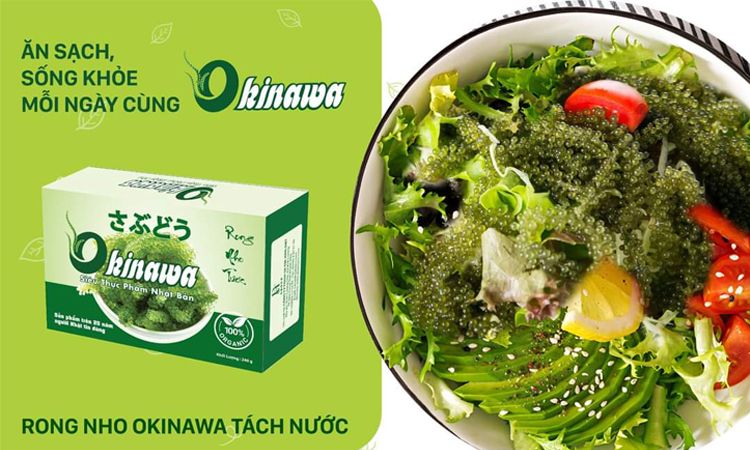 TÌM HIỂU VÙNG TRỒNG RONG NHO ĐẠT CHUẨN XUẤT KHẨU CHÂU ÂU (CHUYÊN MỤC VIỆT NAM THỨC GIẤC VTV)
