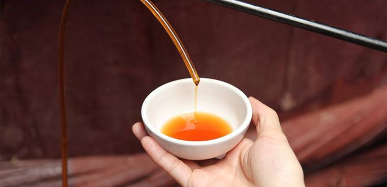 GHÉ THĂM CƠ SỞ LÀM NƯỚC MẮM PHAN THIẾT