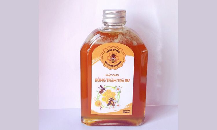 BÊN TRONG RỪNG TRÀM TRÀ SƯ MÙA NƯỚC NỔI