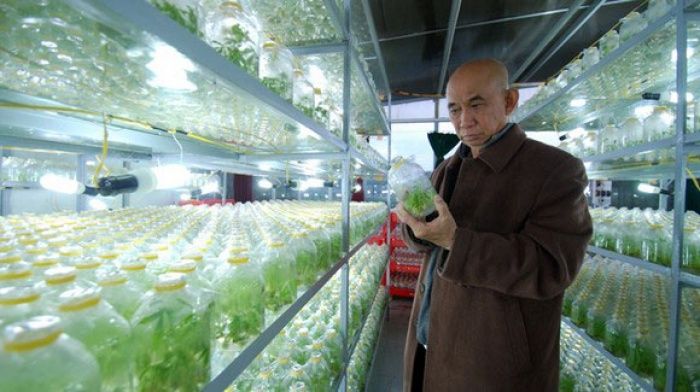 CHUYỆN ÍT NGƯỜI BIẾT Ở NGÔI CHÙA NHÂN GIỐNG SÂM NGỌC LINH