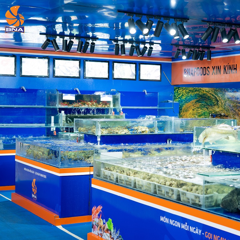 Ngao, sò, ốc tại cửa hàng hải sản giá sỉ BNAFOODS