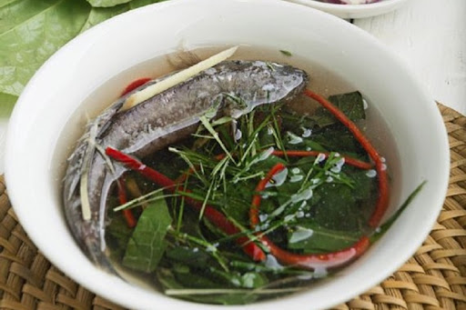 cá bớp nấu món gì ngon