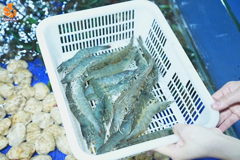 Tôm thẻ tại cửa hàng hải sản giá sỉ BNAFOODS
