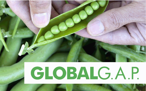 tiêu chuẩn đánh giá chất lượng thực phẩm