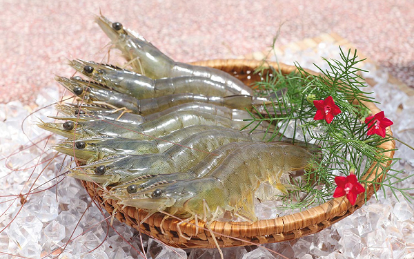 Tôm thẻ tươi nguyên con