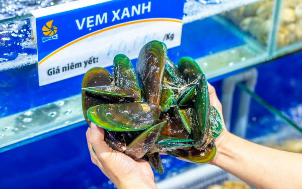 Vẹm tươi sống BNAFOOD