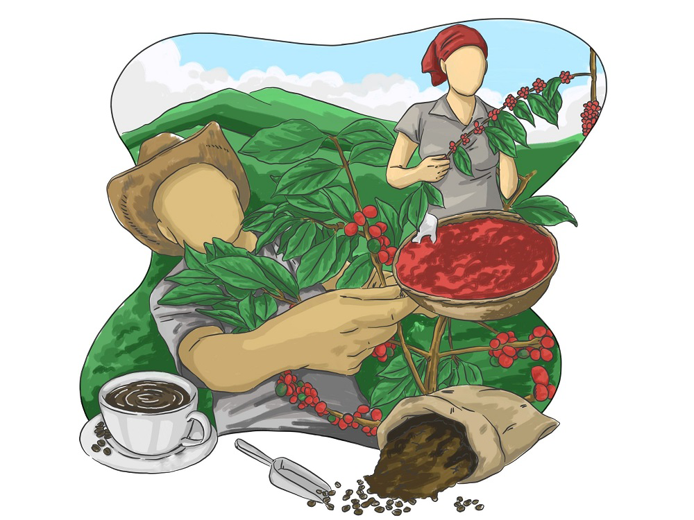 Coffee Story: Nguồn gốc và một số đặc điểm của cà phê tại các nước trên thế giới
