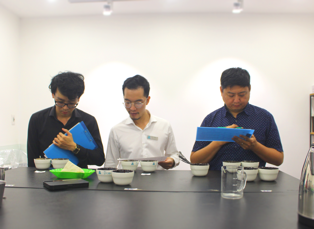 Tìm hiểu cách phân cấp đánh giá, chất lượng cà phê nhân rang của Dimension theo điểm Cupping