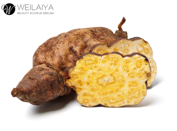 Thành phần hà thủ ô dầu gội dưỡng tóc