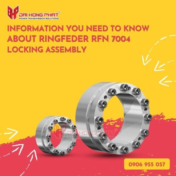 INFORMATION YOU NEED TO KNOW ABOUT RINGFEDER RFN 7004 LOCKING ASSEMBLY