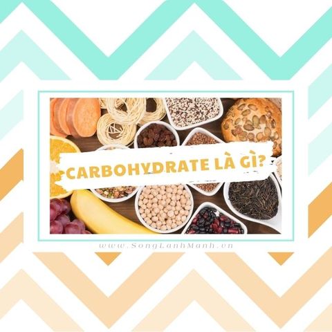 Carbohydrate Là Gì Và Chất Bột Đường Có Trong Thực Phẩm Nào?