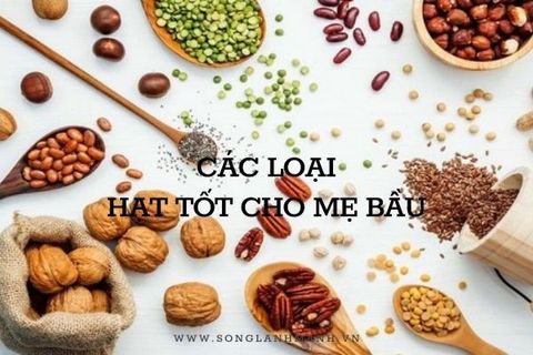 Hạt Dinh Dưỡng Cho Bà Bầu Loại Nào Tốt Và Nên Mua Ở Đâu?