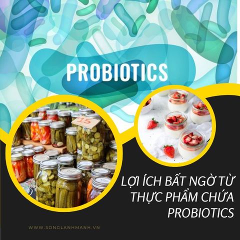 Probiotic Có Trong Thực Phẩm Nào? Khám Phá Ngay!