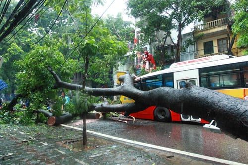 Đèn năng lượng mặt trời giải pháp chiếu sáng trong thời tiết mưa bão
